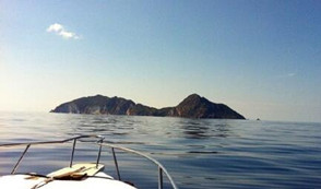 �������������ǩ֤��Ҫ׼����Щ���ϣ�